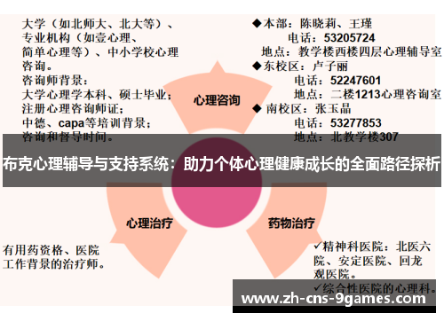 布克心理辅导与支持系统:助力个体心理健康成长的全面路径探析 布克心理辅导与支持系统:助力个体心理健康成长的全面路径探析