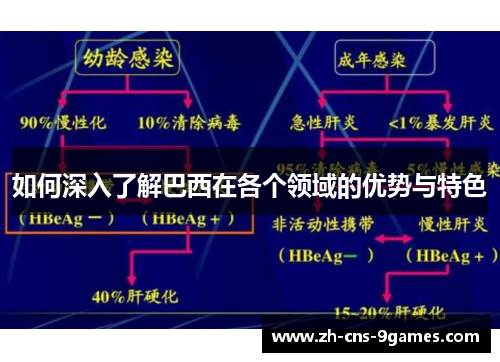 如何深入了解巴西在各个领域的优势与特色